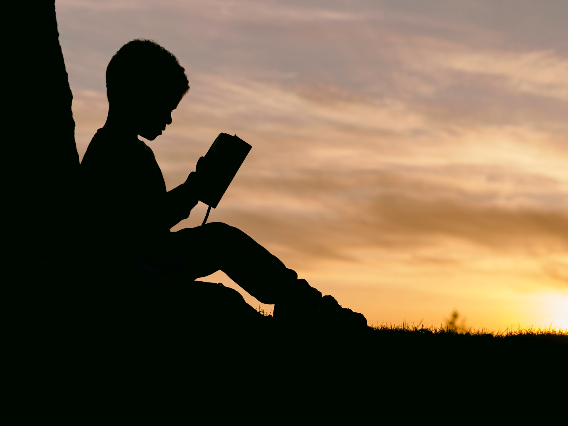 Photo of a Boy reading under a tree